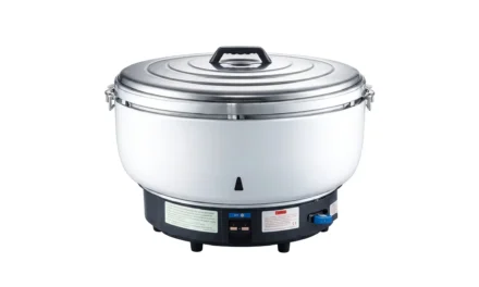 GF-20Y-.30L-A | Commercial Gas Rice Cooker